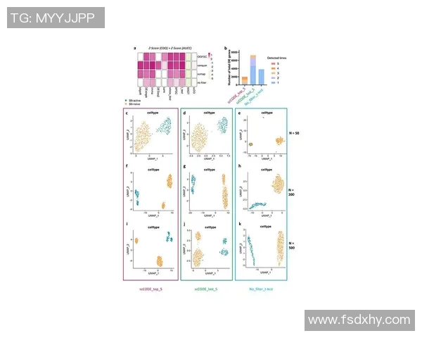 南京篮球队团队协作表现的数据分析与提升策略探讨 南京篮球队团队协作表现的数据分析与提升策略探讨