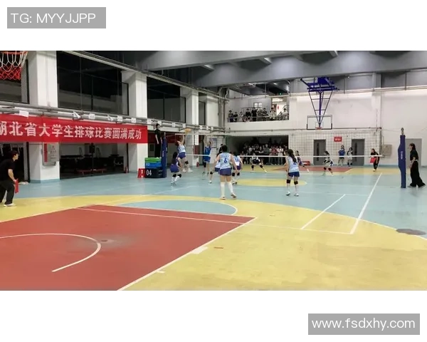 武汉排球队个人能力分析与发展潜力探讨 武汉排球队个人能力分析与发展潜力探讨