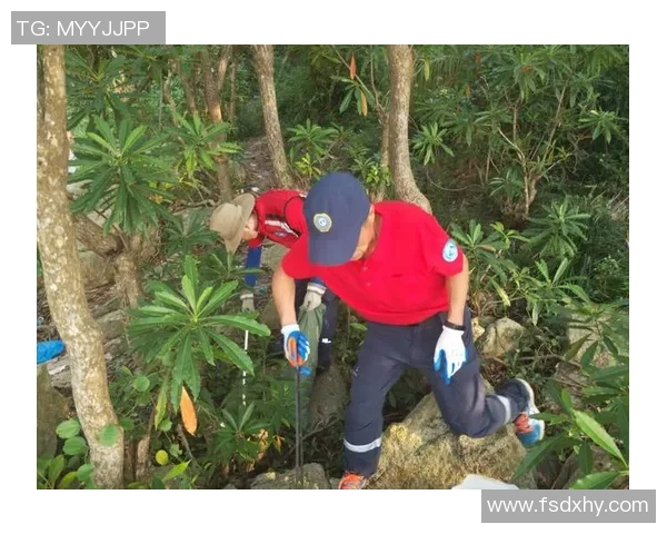 深圳极限运动队赛事经验深度对比与分析探讨