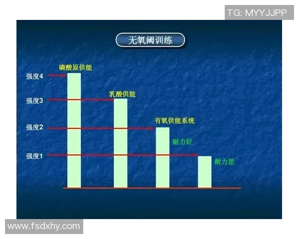重庆羽毛球队的战术创新与转换体系解析 重庆羽毛球队的战术创新与转换体系解析